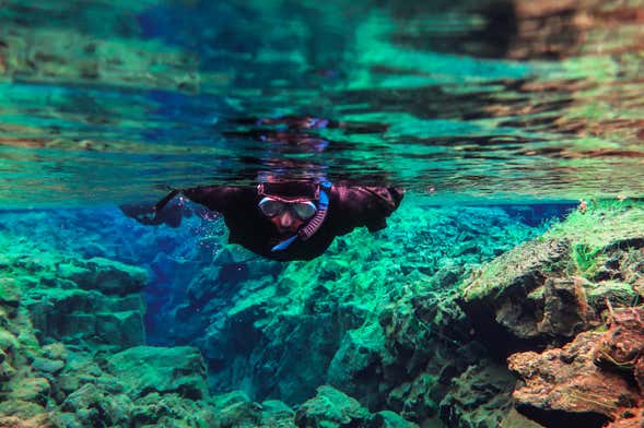 Snorkel en la fisura de Silfra