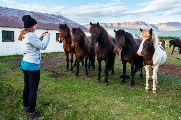 Paseo a caballo por Varmahlíð