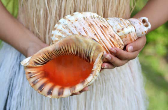 Rarotonga