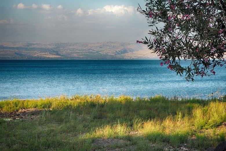 Mar de Galileia