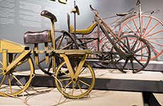 Museo delle Scienze Bloomfield