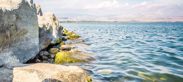 Excursión a Nazaret, Tiberíades y Galilea