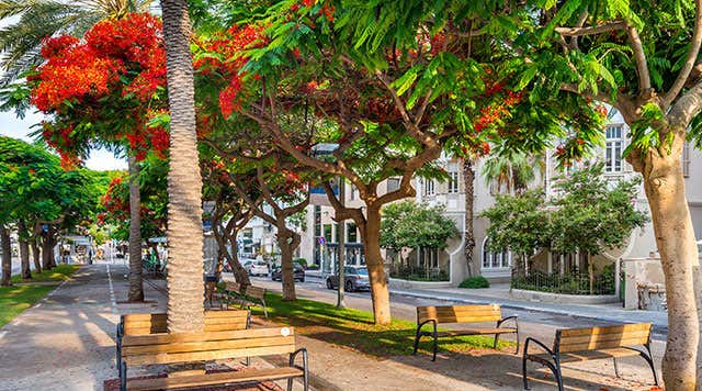 TEL AVIV - Israel: peregrinos sin peregrinar (3)