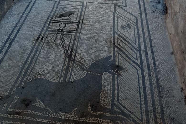 Mosaici di Pompei