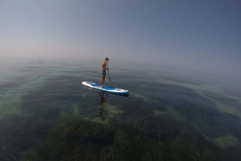 Disfrutando del tour en paddle surf