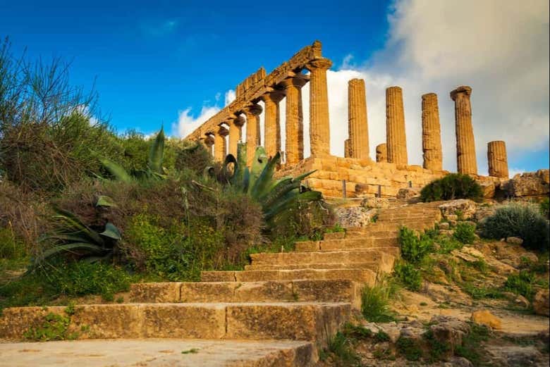Temple de Junon
