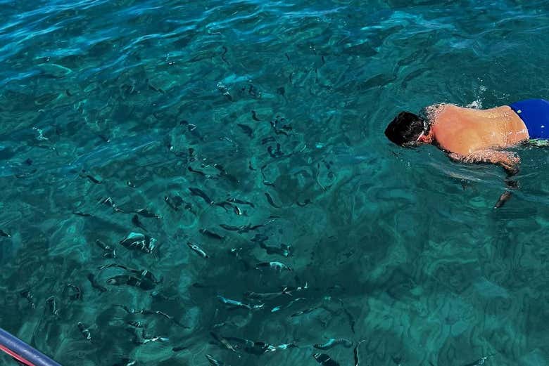 Snorkeling nella Costiera Cilentana