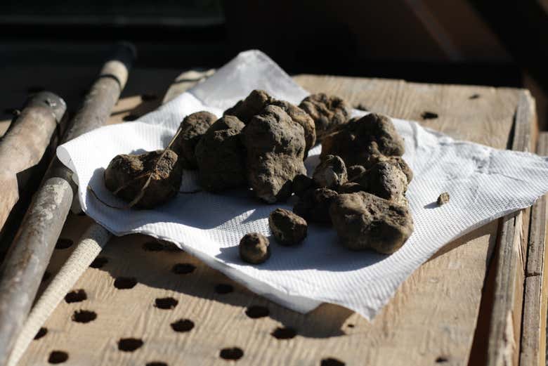 Varias trufas 