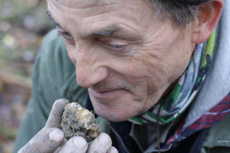 Sentez une truffe