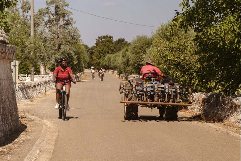 Faites du vélo