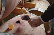 Visita à vinicola Quattrocieli