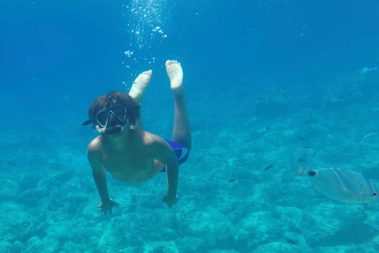 Un enfant profite du snorkeling
