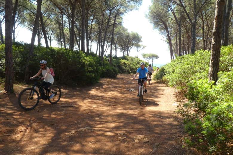 Parcourez Porto Conte à vélo
