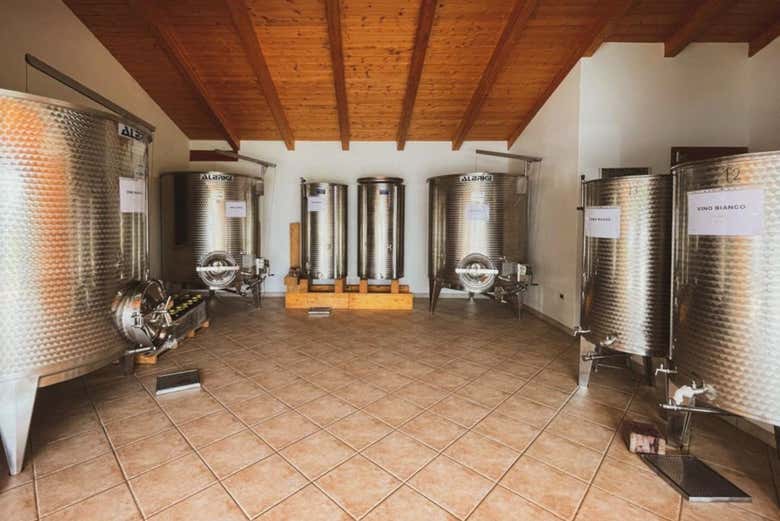 In una stanza della cantina