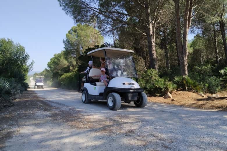 Voiturette de golf dans le parc