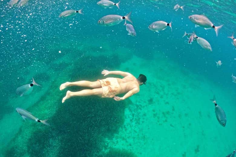 Faites du snorkeling