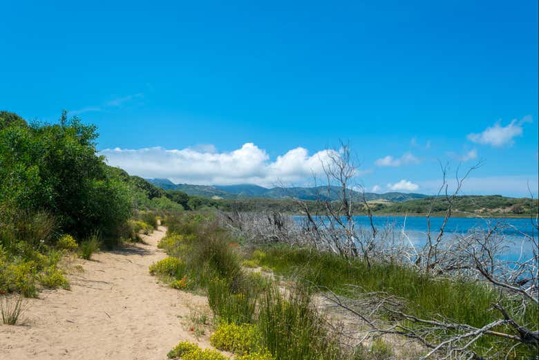 Chemin de sable le long du lac de Baratz