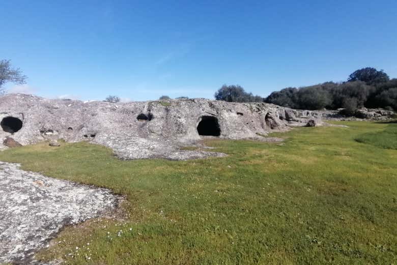 La domus de janas
