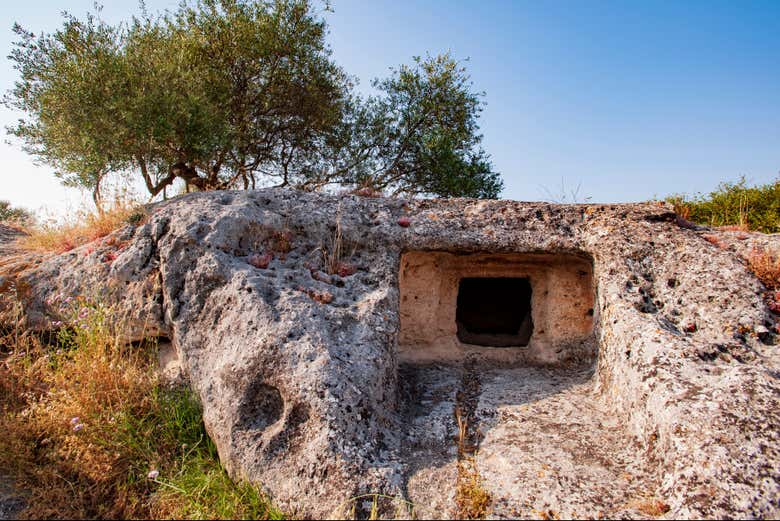 Une immersion dans l'histoire