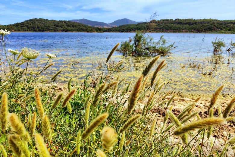 Lac Baratz