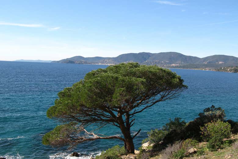Paysages sur l'itinéraire de randonnée à Capo Marrargiu