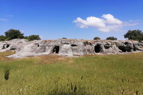 Escursione alla Necropoli di Puttu Codinu e al Nuraghe Appiu