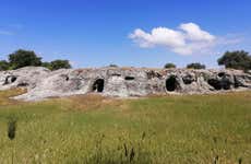 Necropolis of Puttu Codinu & Nuraghe Appiu Day Trip