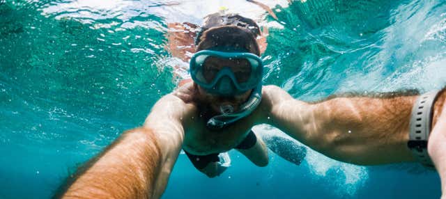 Snorkeling in Porto Conte Natural Park
