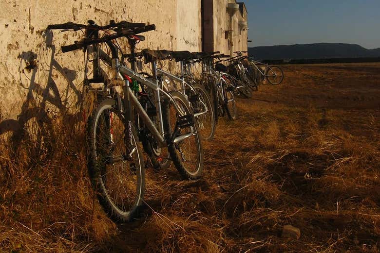 Vélos pour la visite