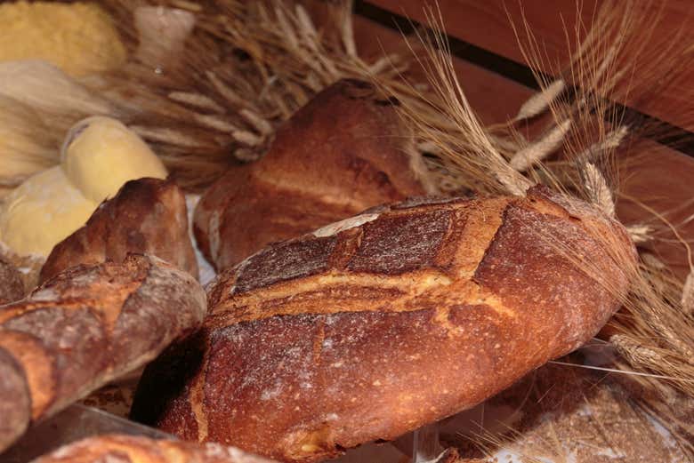 Pain d'Altamura