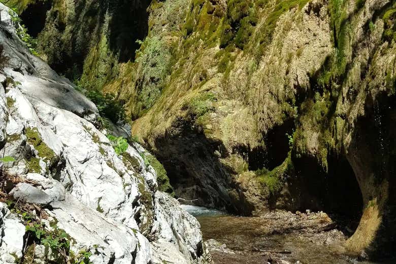Discover the beauty of the Ferreire Valley