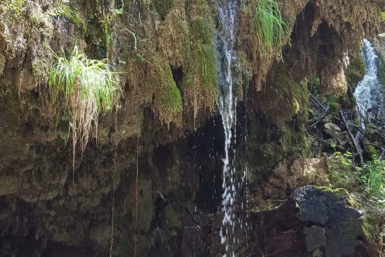 See the Ferriere Waterfall