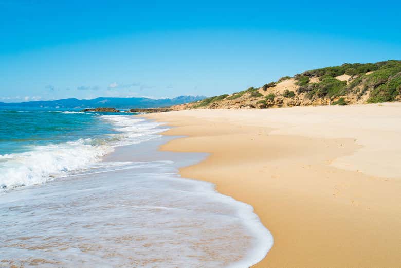 Plage Scivu