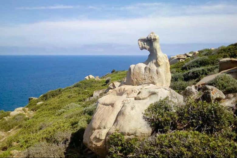 Rochers sur la côte verte de la Sardaigne