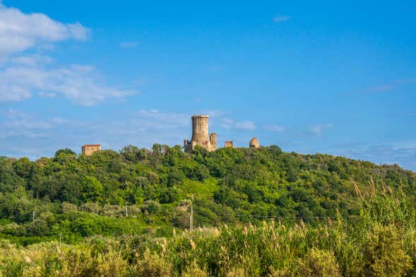 Velia Archaeological Site Tour