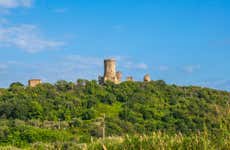Excursão ao sítio arqueológico de Vélia