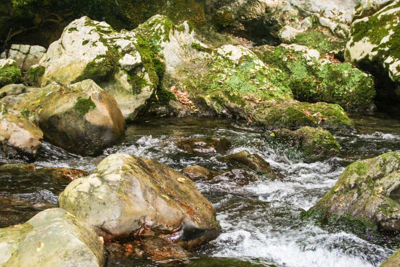 Bussento, le fleuve de l'oasis de Morigerati