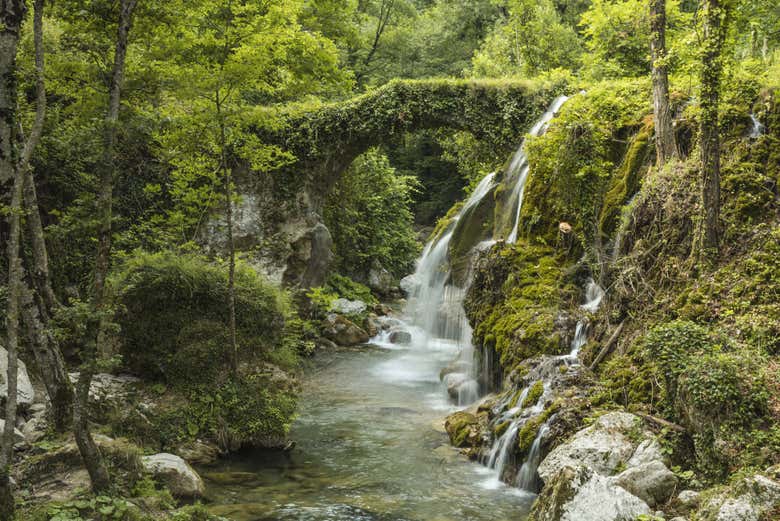 L'environnement naturel unique