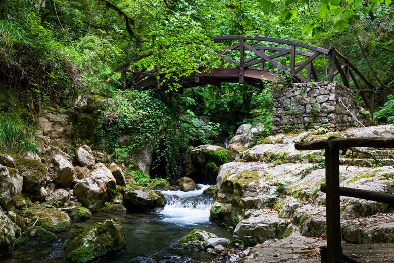 Pont sur le Bussento