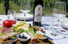 Degustazione di olio biologico