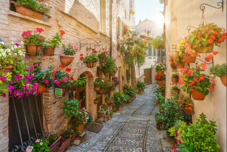 Una stradina piena di fiori