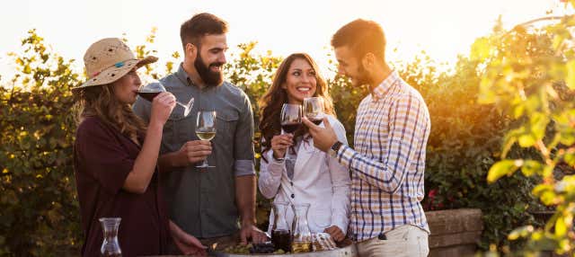 Degustazione di vino all'aria aperta