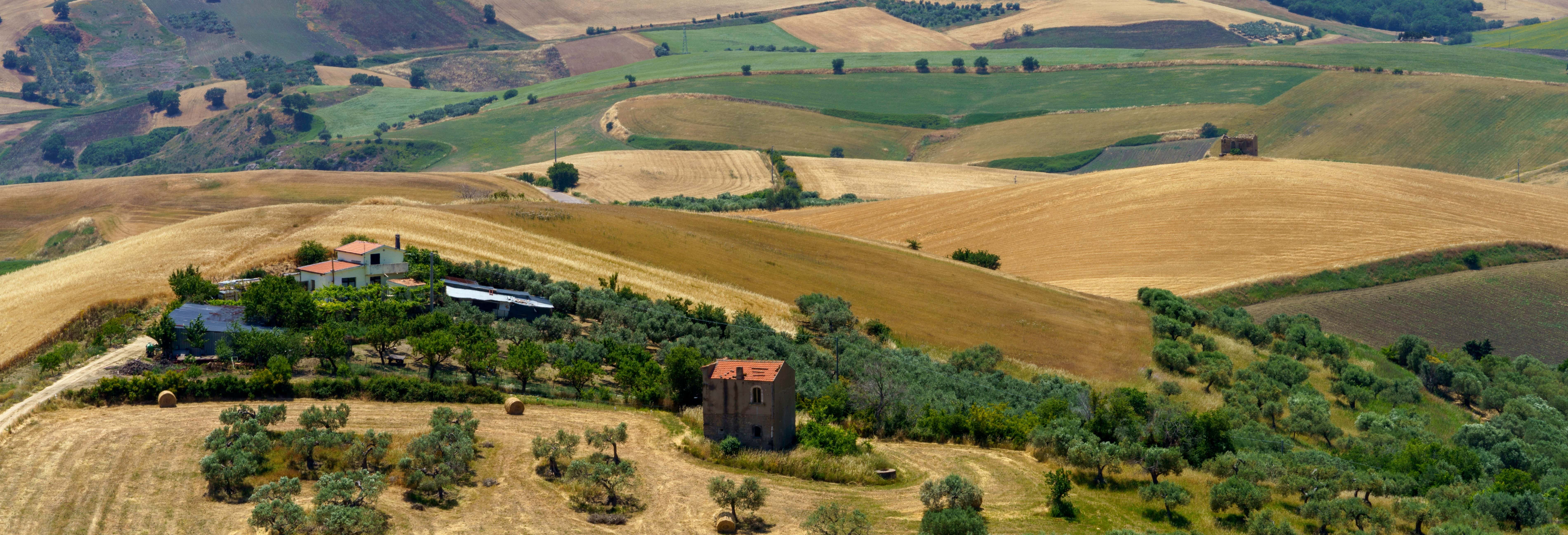 Baranello