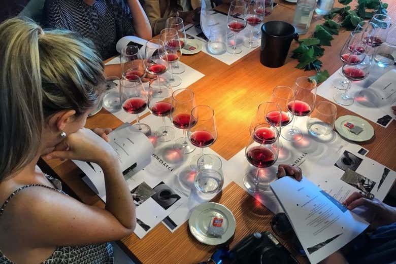 Degustazione di vino a Bardolino