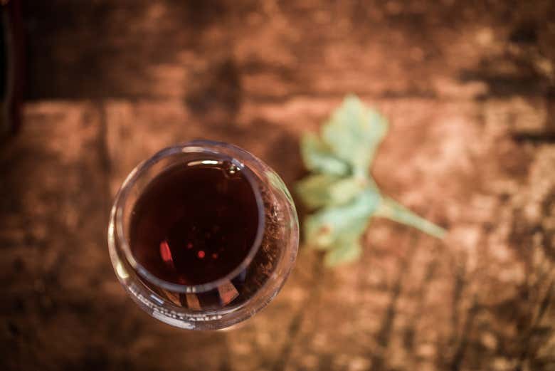 Degustazione di vino in Valpolicella