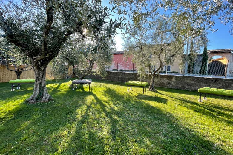El jardín