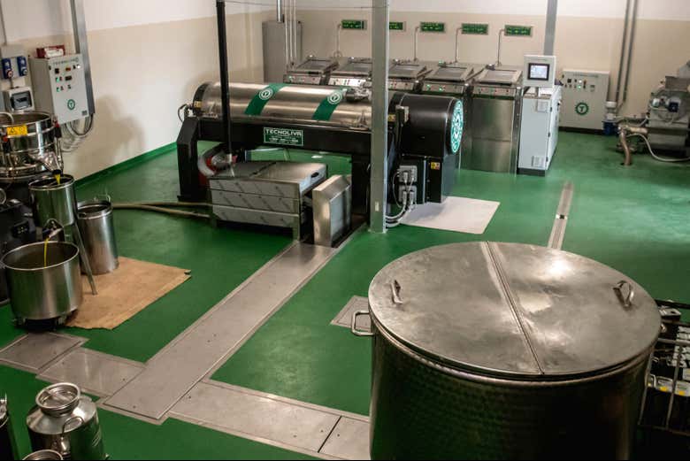 El molino de aceite de oliva
