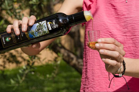 Visita a la almazara Olio Viola con cata de aceites