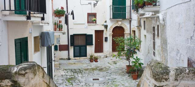 Excursión a Alberobello, Monopoli y Polignano a Mare