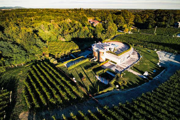 Visita a la bodega Pietro Cassina